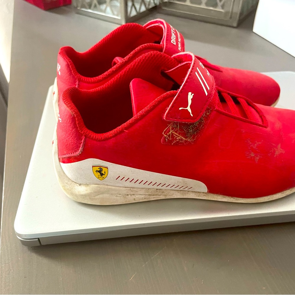 Puma - Picture 3 of 3